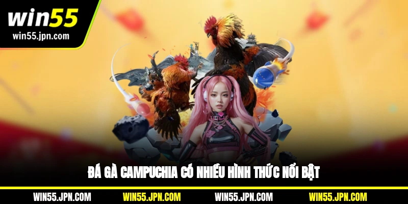 da-ga-campuchia-win55-co-nhieu-hinh-thuc-noi-bat