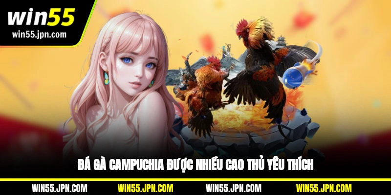da-ga-campuchia-win55-duoc-nhieu-cao-thu-yeu-thich