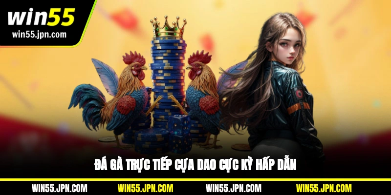 Đá gà trực tiếp cựa dao cực kỳ hấp dẫn