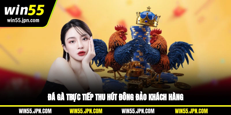 da-ga-truc-tiep-win55-thu-hut-dong-dao-khach-hang